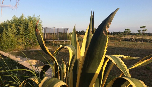 White architect's villa near the Mediterranean Sea