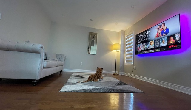 White House - 4 Bedroom Home