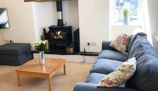 White Lion, Aberporth