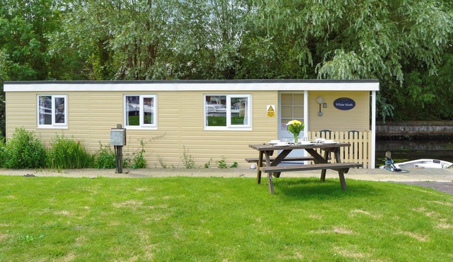 White Moth - UK12697