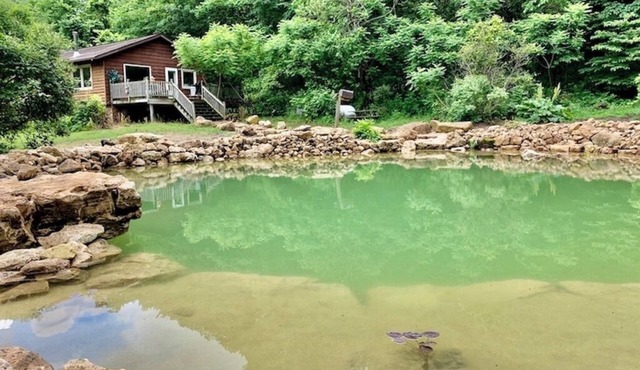 White Pine Cabin with Swimming Pond & Hot Tub Jacuzzi