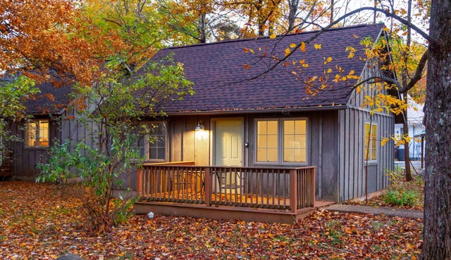 White Rock Cabin-1BR, ADA, kitchenette, fireplace
