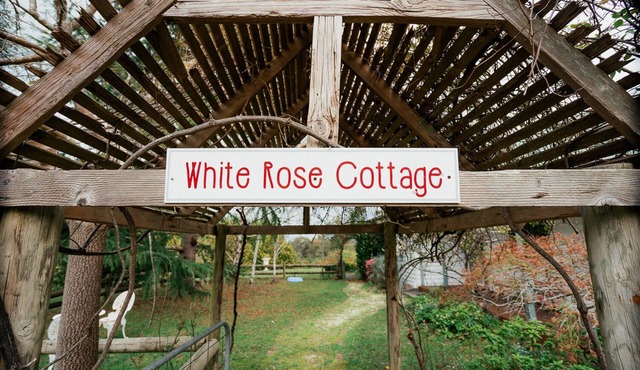 White Rose Cottage Healesville