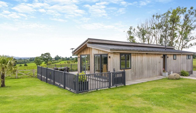 Whitehill Lodge - UK47194