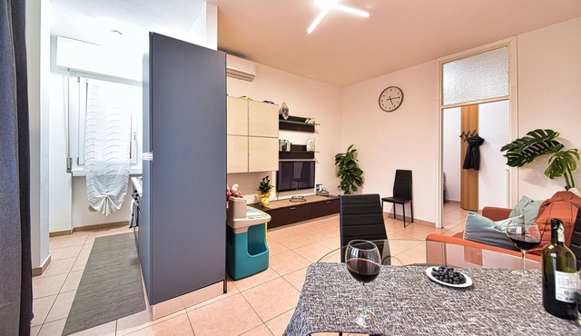 Whole cozy apartment ;Bright, ideal, for families;Single couples.