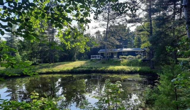 Whole home, private lake, sauna, WFH office