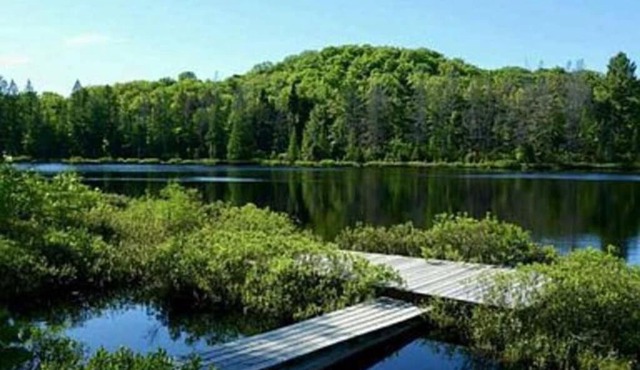 Whole home, private lake, sauna, WFH office