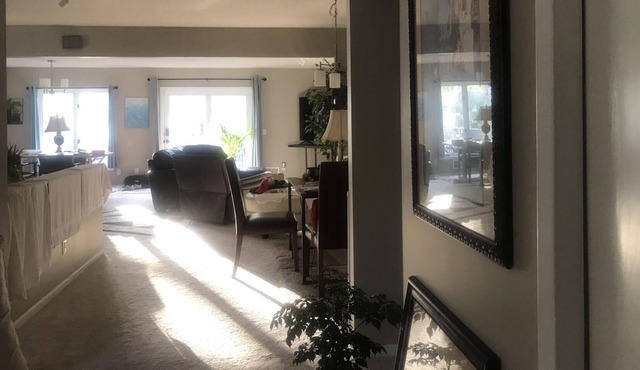 Whole home with spacious kitchen cozy fireplace by airport mall of American