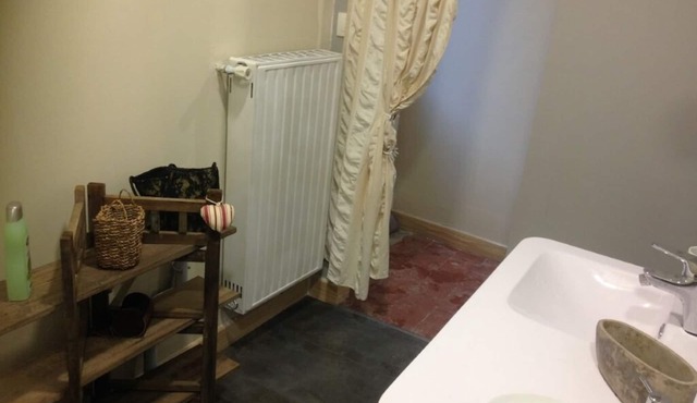 Whole house in town, pets welcome