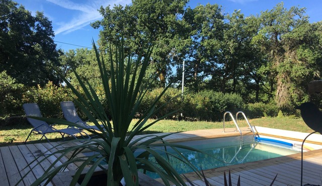 Whole house with swimming pool in Autoire near Rocamadour in the heart of nature