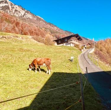 Whole traditional swiss Chalet - Alps & Lake Retreat