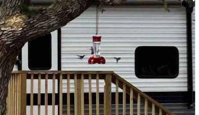 “Whooperazzi” The Sunrise Bay View Camper