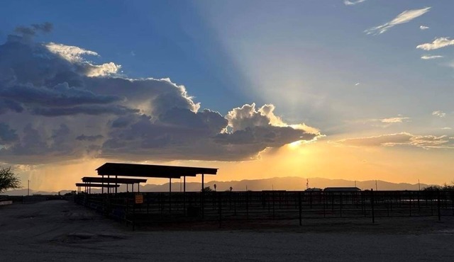 Wickenburg Arizona Equine Facility