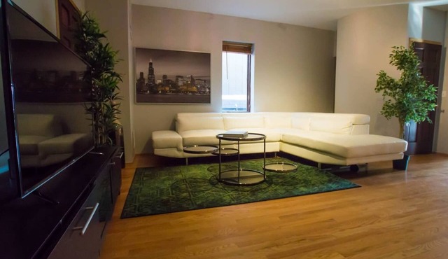 wicker park large apartment perfect for families