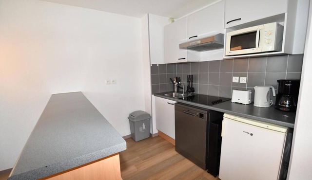 Wifi, fitness, swimming pool, sauna, terrace, balcony, ski locker, 36-42m², Peyragudes