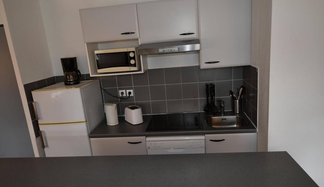 Wifi, fitness, swimming pool, sauna, ski locker, 52-60m², Peyragudes