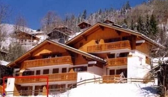 Wifi, Ground floor, terrace, parking, tv, ski locker, 60m², Châtel