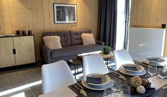 Wifi, ski-in/ski-out & foot of the slopes, fitness, terrace, parking, tv, 45m², Piau Engaly