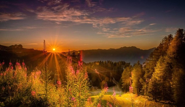 Wifi, ski-in/ski-out & foot of the slopes, fitness, swimming pool, sauna, hammam, balcony, tv