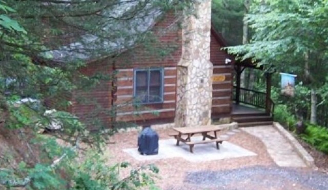 Wil-deer-ness Cabin- Secluded-Firepit-Hot Tub-WiFi-Dog Friendly