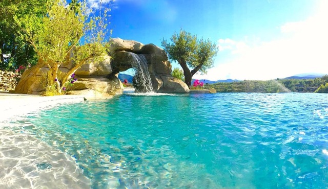 Wild Boar Mountain - France