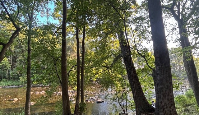 Wild Camping retreat with river view!