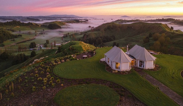 Wild Canvas - Pōhutukawa Tent