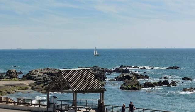 Wild coastline, exceptional sea view, close to shops and TGV station