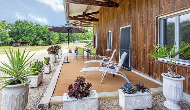 Wild & Free" air-conditioned apartment at the Château de Bellevue stud farm