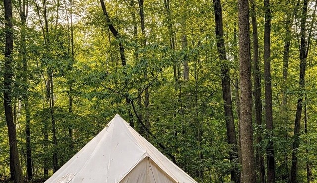 Wild Garden Glamping: Creekside