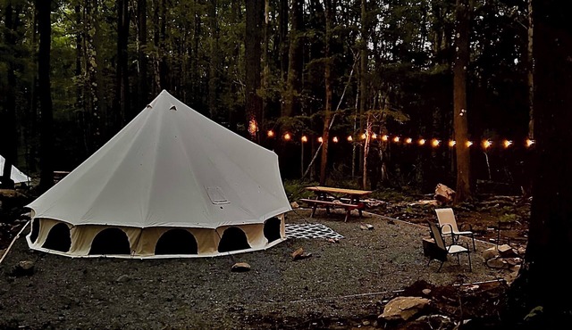 Wild Garden Glamping: Honeycomb