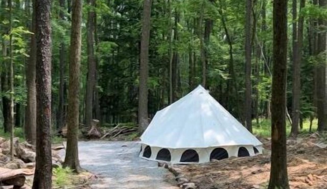 Wild Garden Glamping: Monarch