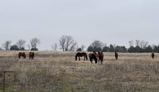 Wild Horse Hideout/Private Pool Country Living