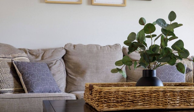 Wild Joy| King Bed, Pet-Friendly Stay, Fenced Yard
