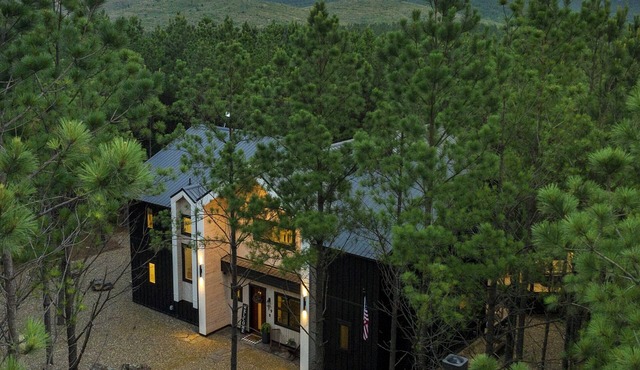 Wild Mountain Honey – Luxe Cabin w/Hot Tub, Game Loft & Outdoor Living