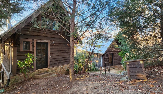 Wild Turkey’s Roost | Cozy Cabin w/Fireplace + Biltmore Pass