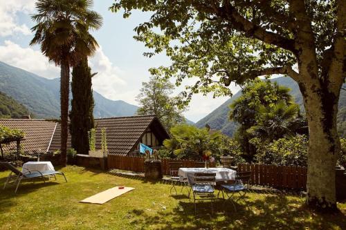 Wild Valley Palm Garden in Valle Onsernone