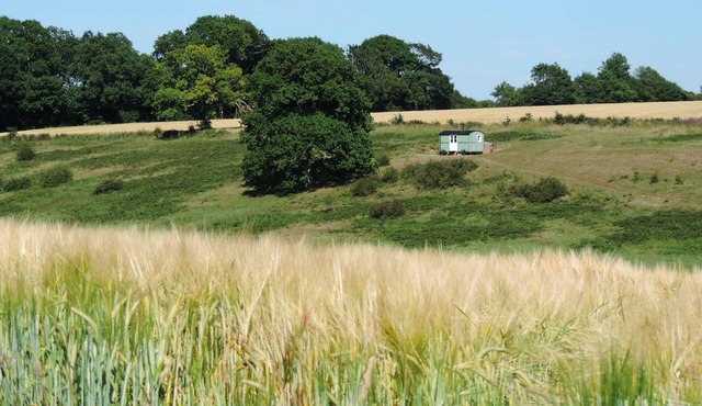 Wild Valley Retreat.