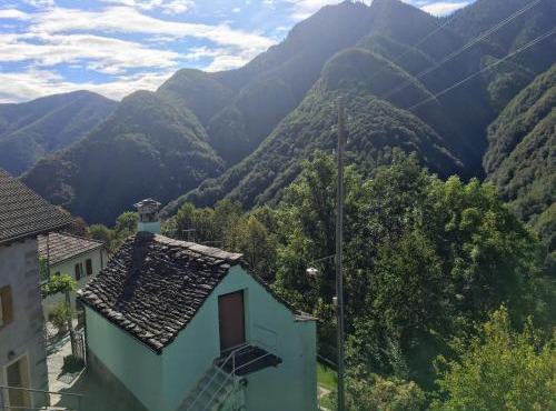 Wild Valley Rusticino