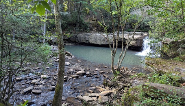 Wild & Wonderful WV cabin at Hominy Falls - 5 acres of wilderness on creek n