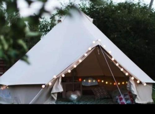 Wildberry glamping