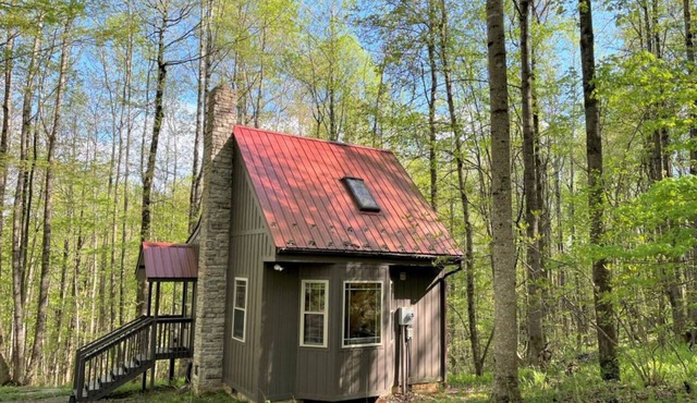Wildcat Forest - a tiny cabin with lots of charm, by Buffalo Mountain Getaway