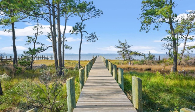 Wildcat Haven | Luxury Bayfront Estate, Private 500' Pier, Dual Kitchens + Pet Friendly