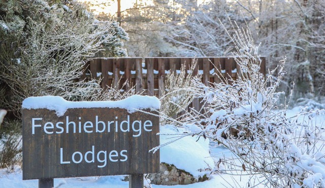 WILDCAT LODGE, pet friendly, with open fire in Aviemore