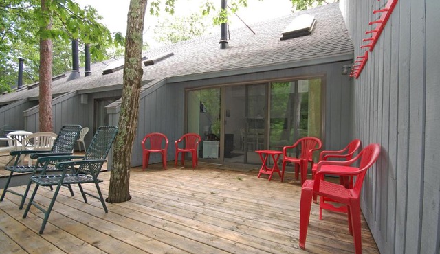 Wilderness 41
