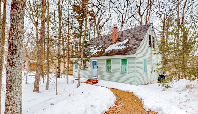 Wilderness abode with a wood-burning fireplace, deck, and grill - near skiing