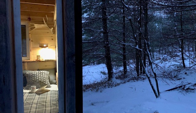 Wilderness Adventure Cabin, Unique Experience