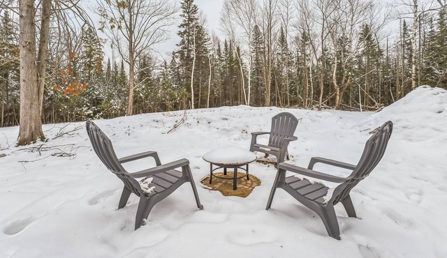 Wilderness Escape: BBQs, Bonfires & Backwoods Adventures Await!