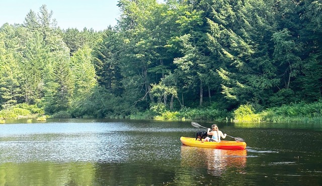 Wilderness Escape: Entire Adirondack Campground