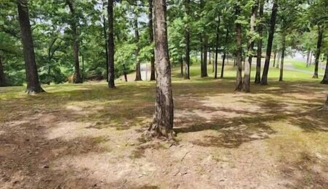 Wilderness Glamper Retreat